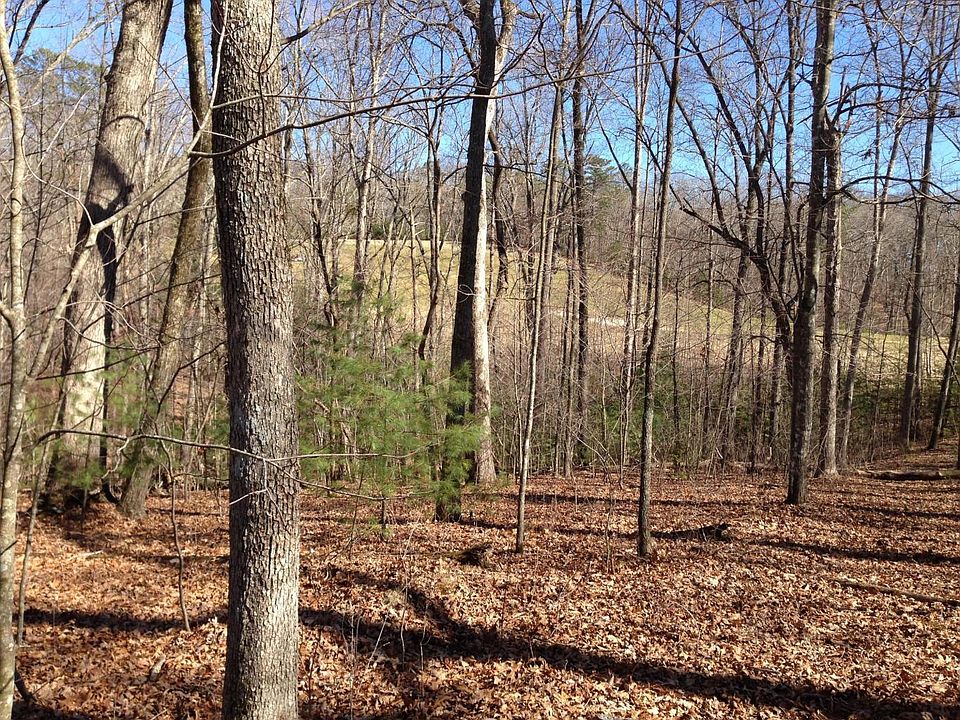1st image of Forest Hill Dr.