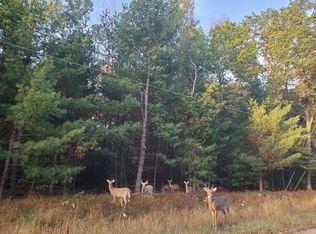 0 Buffalo Trl, Alger, MI 48610