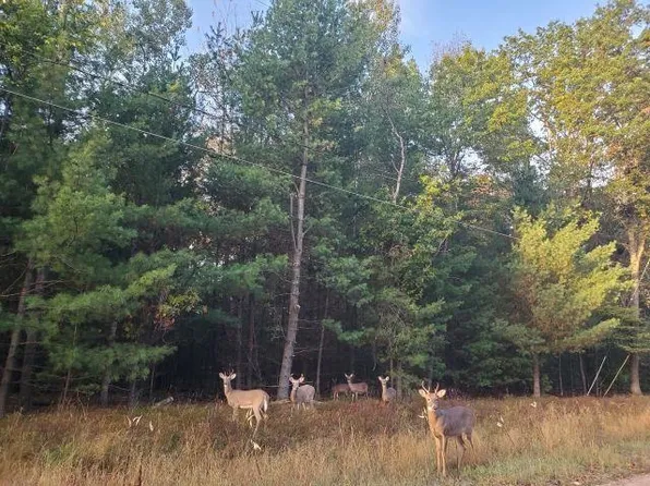 0 Buffalo Trl, Alger, MI 48610