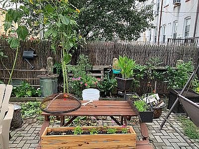 Paved Private Backyard