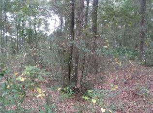 Nile Ave, Webster, FL 33597