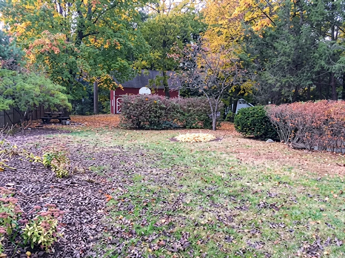2 bed, $1,850 — Photo 3