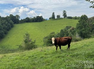 0 Union Hill Church Rd, Green Mountain, NC 28740