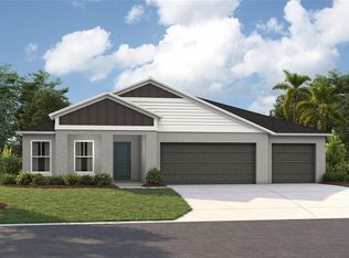 31721 Chateau Manor Ln, Wesley Chapel, FL 33545