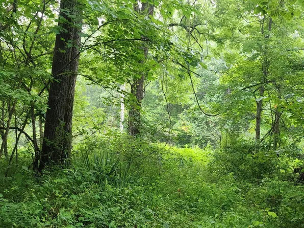 Rockhouse Creek Church Rd, Pioneer, TN 37847