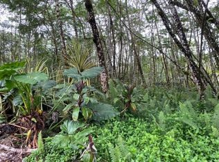 Pakalana Rd LOT 198, Pahoa, HI 96778