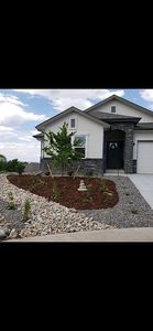 687 Easton Ct, Castle Rock, CO, 80104