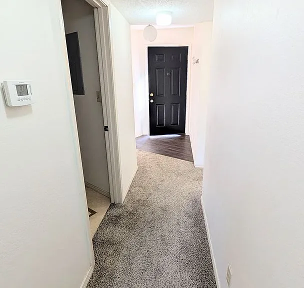 1704 E 24th Ave — Photo 9