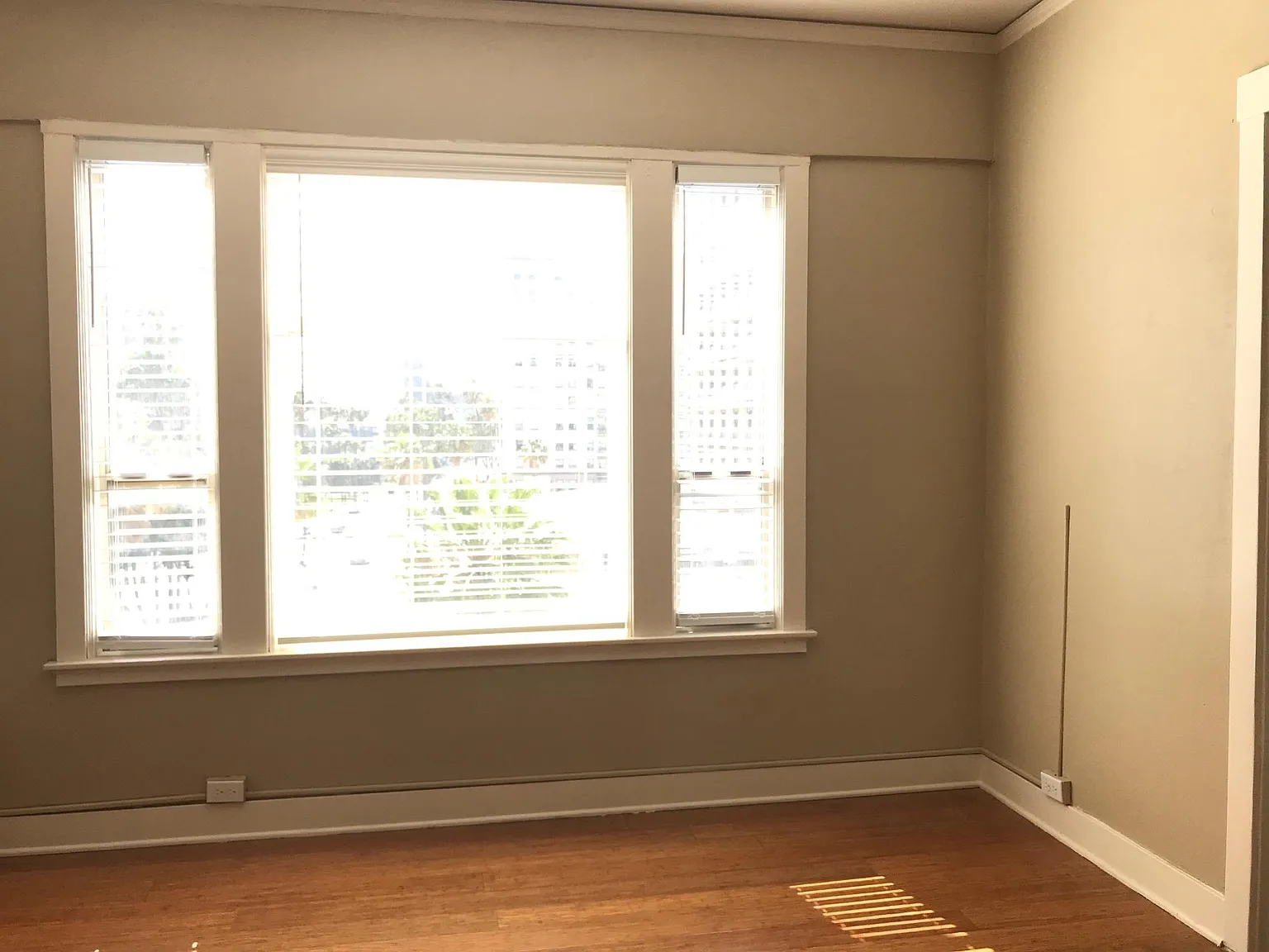 Studio, 370 sqft, $1,450 — Photo 3