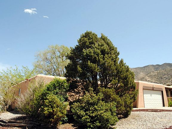 1952 Buffalo Dancer (2)