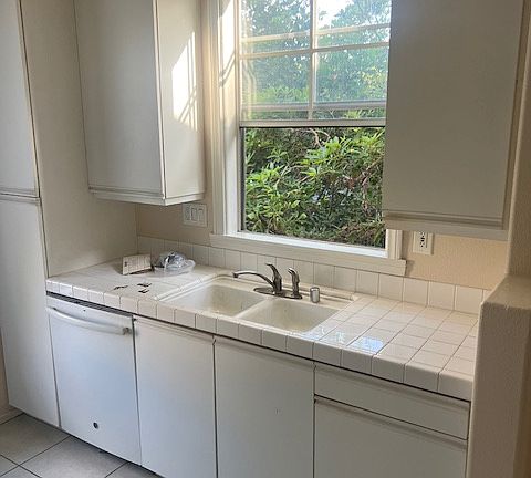 dishwasher and sink