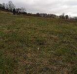 2nd image of 2516 Rock Springs Rd