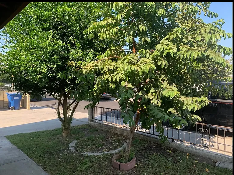 2354 Bryce Rd — Photo 3