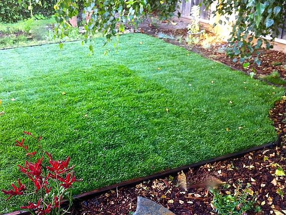 yard