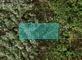 Old Grade Rd #C-242, Polk City, FL 33868