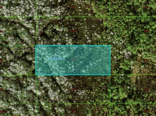 Old Grade Rd #C-242, Polk City, FL 33868