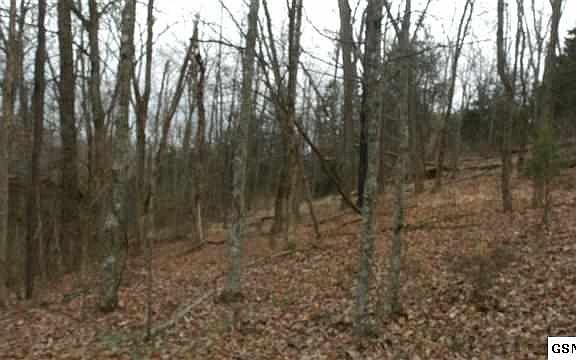 3rd image of 310 Woodlark Way