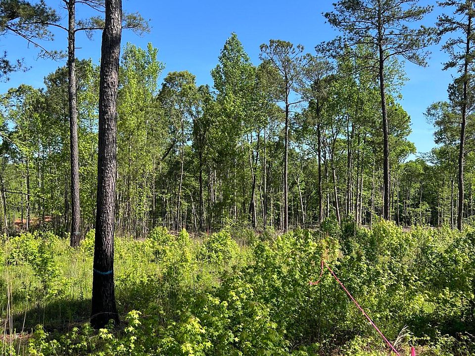 685 Giles Rd, Forsyth, GA 31029 Zillow