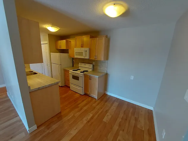 2 bed 1 bath with a Dishwasher! — Photo 2