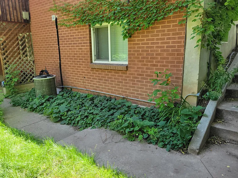 2231 E Alva Cir #BASEMENT — Photo 6