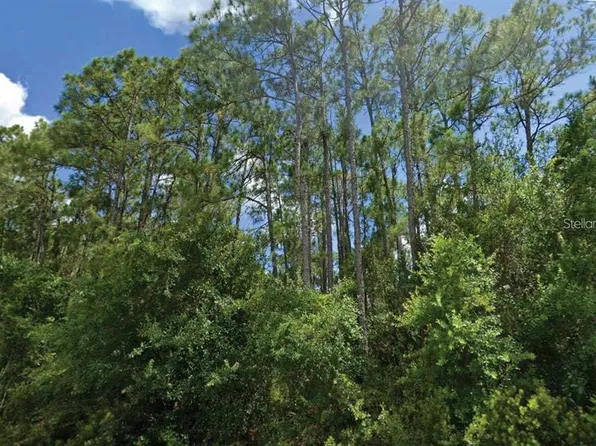 Langsom Ln Lot 15, North Pt, FL 34286