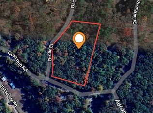 698 Quail Run Rd, Ellijay, GA 30540