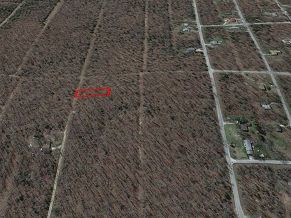 3rd image of 1305 Huckle Berry Ln