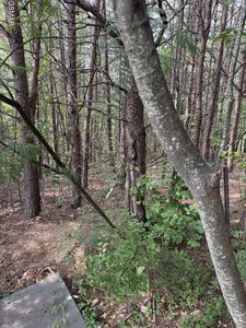 14 Seth Rd Lot 14, Pigeon Forge, TN, 37863