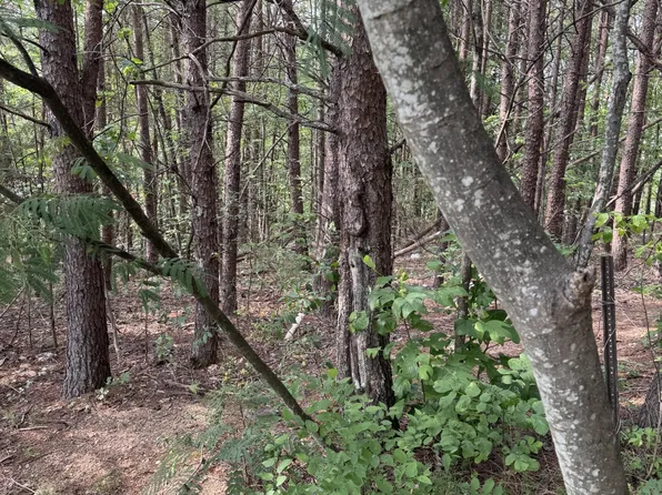 14 Seth Rd Lot 14, Pigeon Forge, TN 37863
