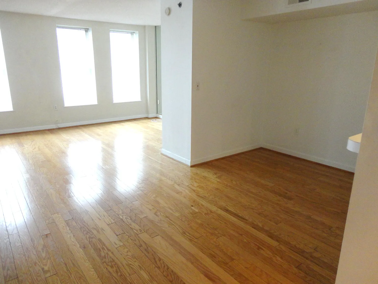 1 bed, 1120 sqft, $3,250 — Photo 4