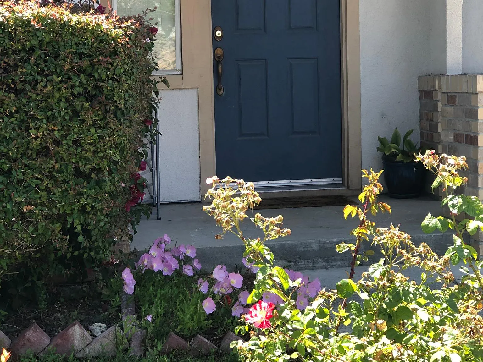 3 bed, 1485 sqft, $4,200 — Photo 4