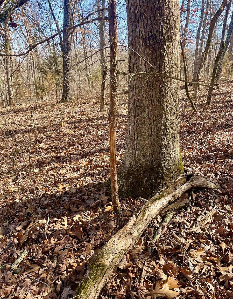 0 Maries County Rd 518, Rolla, MO 65401 Zillow