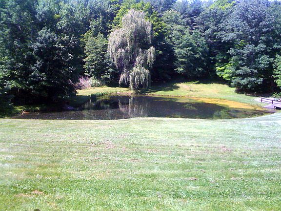 Pond view from porch