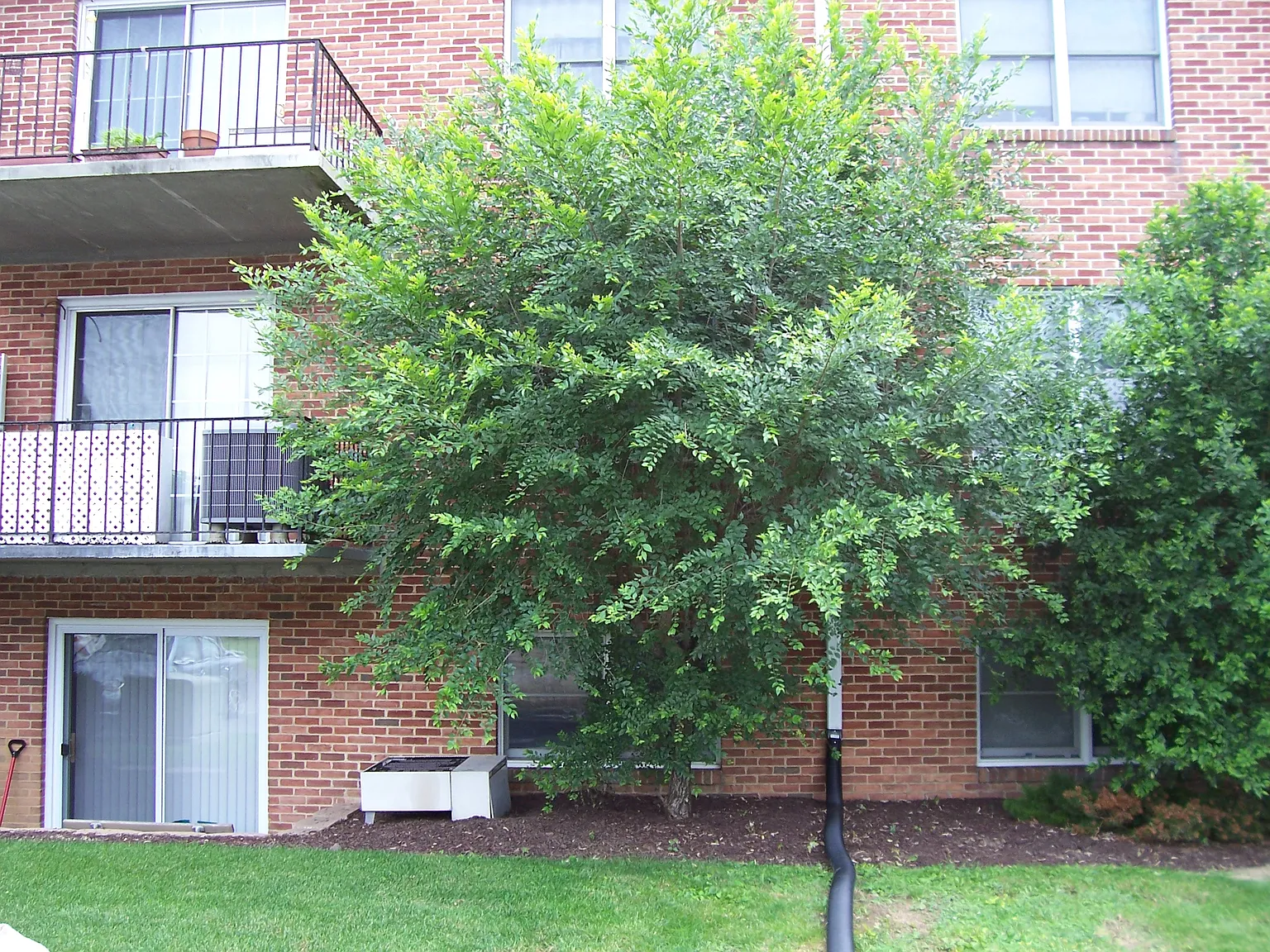 Cedar Run Condominiums — Photo 2
