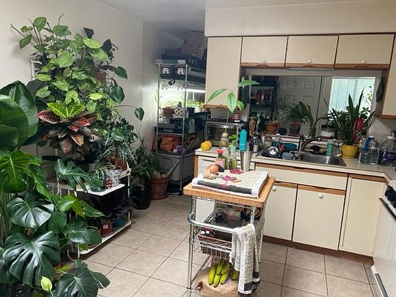 Plants love the Large skylight in kitchen.