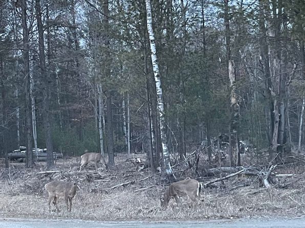 Buffalo Trl, Alger, MI 48610