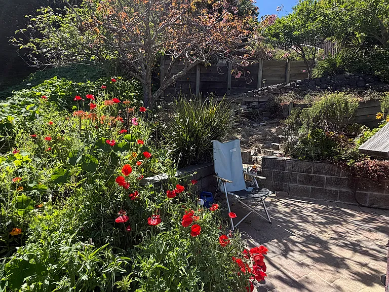 221 Piedmont Pl #221 — Photo 7