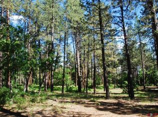 4081 Terry Robinson Rd, Pagosa Springs, CO 81147