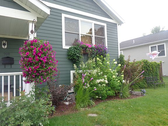 Easy Maintenance for Flowers