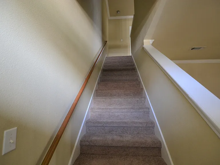 2117 Cypress Hall Aly — Photo 4