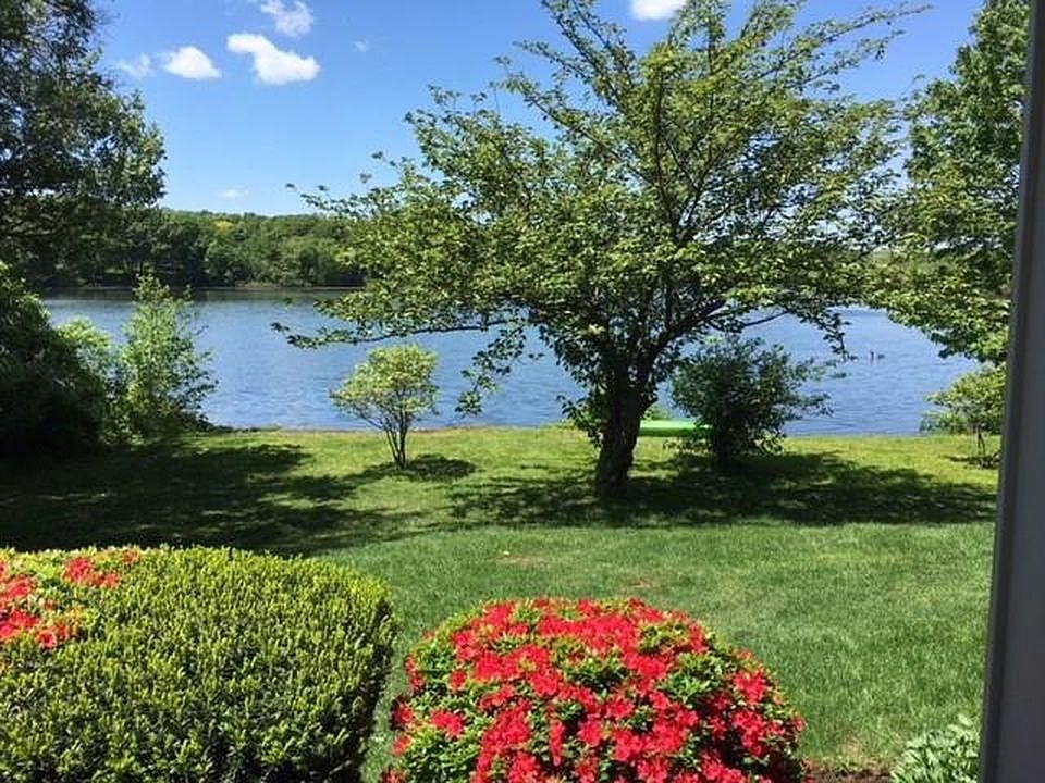 View from Living room window