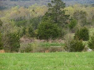 2nd image of Marion County 2027