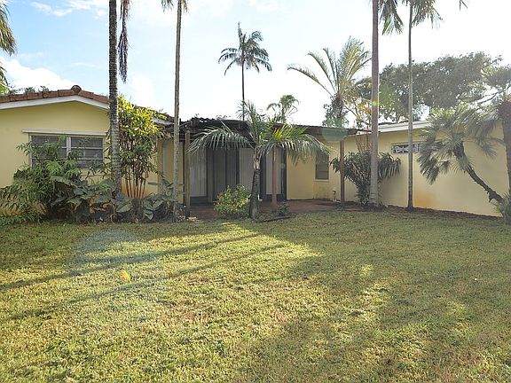 Back yard