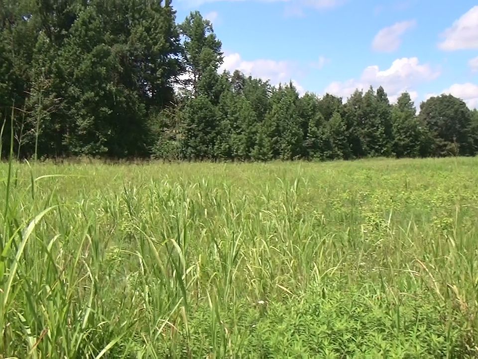 1st image of 6042 Lot 4