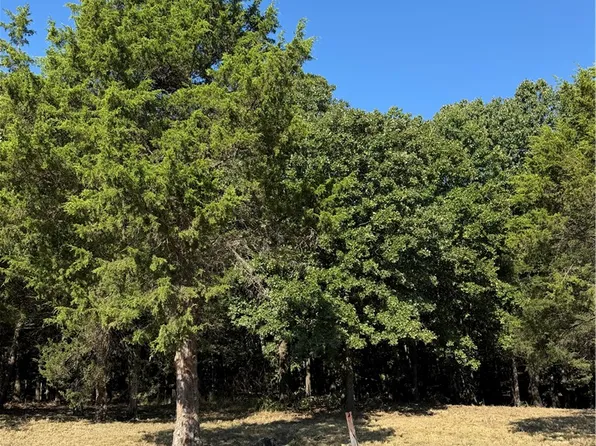 Angus Dr #3 & 736, Garfield, AR 72732