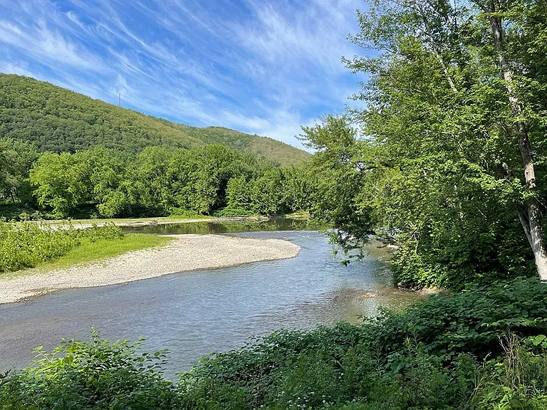 Woodland Apartments — Photo 5