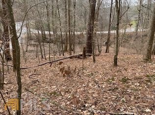 0 Beaver Lake Dr LOT 317, Ellijay, GA 30540