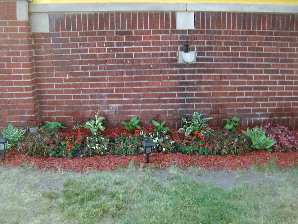 Flowerbed