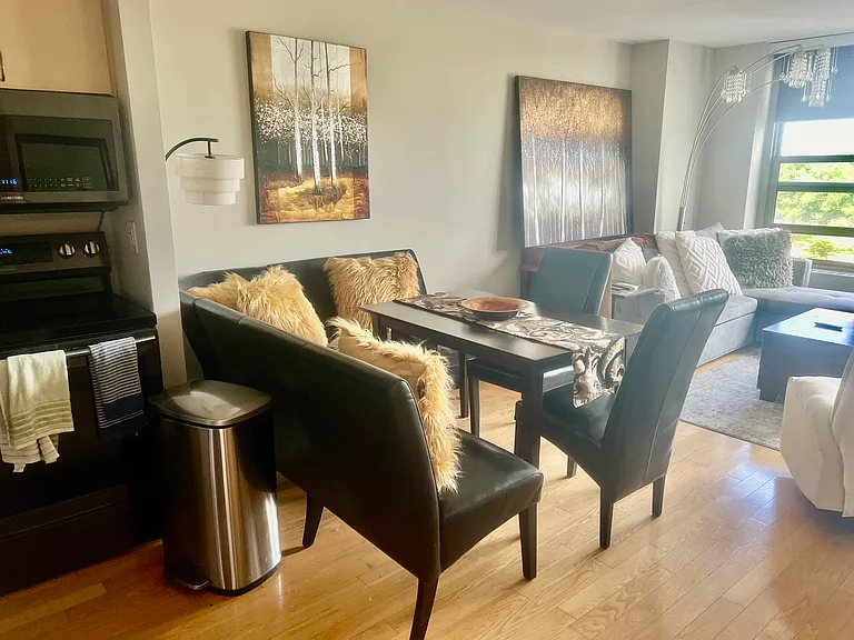 1550 N Lake Shore Dr #3E — Photo 11