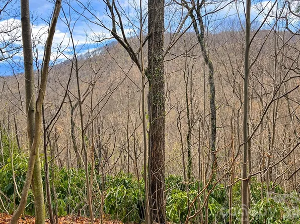 11 Majestic Overlook Way #36, Candler, NC 28715
